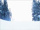 Winter Photo