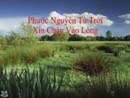 Phước Nguyên Từ Trời Xin Chảy Vào Lòng