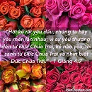 Tựa:  1 Giăng 4:7
Diễn Giả:  DN
Xem:  470