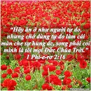 Tựa:  1 Phi-e-rơ 2:16
Diễn Giả:  DN
Xem:  551