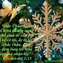 Tựa:  1 Ti-mô-thê 1:15
Diễn Giả:  DN
Xem:  636