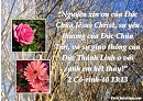 Tựa:  2 Cô-rinh-tô 13:13
Diễn Giả:  DN
Xem:  1309