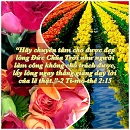 Tựa:  2 Ti-mô-thê 2:15
Diễn Giả:  DN
Xem:  883