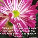 Tựa:  2 Ti-mô-thê 3:12
Diễn Giả:  DN
Xem:  958