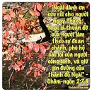 Tựa:  Châm-ngôn 2:7-8
Diễn Giả:  DN
Xem:  623