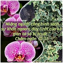Ecard