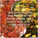 Tựa:  Châm-ngôn 11:31
Diễn Giả:  DN
Xem:  678