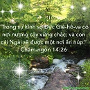 Tựa:  Châm-ngôn 14:26
Diễn Giả:  DN
Xem:  675