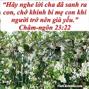 Tựa:  Châm-ngôn 23:22
Diễn Giả:  DN
Xem:  691