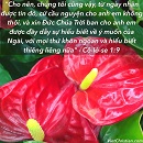 Tựa:  Cô-lô-se 1:9
Diễn Giả:  DN
Xem:  711