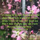 Tựa:  Ê-phê-sô 2:10
Diễn Giả:  DN
Xem:  873