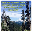 Tựa:  Ê-sai 40:29
Diễn Giả:  DN
Xem:  1449