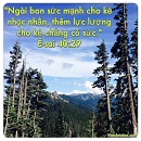 Tựa:  Ê-sai 40:29
Diễn Giả:  DN
Xem:  1288