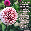 Tựa:  Ê-sai 41:13
Diễn Giả:  DN
Xem:  826