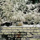 Tựa:  Ê-sai 64:8
Diễn Giả:  DN
Xem:  646
