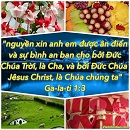 Tựa:  Ga-la-ti 1:3
Diễn Giả:  DN
Xem:  749