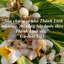 Tựa:  Ga-la-ti 5:25
Diễn Giả:  DN
Xem:  686