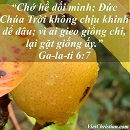 Tựa:  Ga-la-ti 6:7
Diễn Giả:  DN
Xem:  515