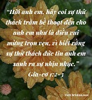 Tựa:  Gia-cơ 1:2-3
Diễn Giả:  DN
Xem:  302