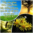 Tựa:  Gia-cơ 4:7
Diễn Giả:  DN
Xem:  738