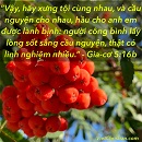 Tựa:  Gia-cơ 5:16b
Diễn Giả:  DN
Xem:  665