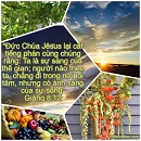 Tựa:  Giăng 8:12
Diễn Giả:  DN
Xem:  842