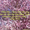 Tựa:  Gióp 33:4
Diễn Giả:  DN
Xem:  1806