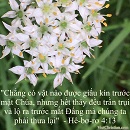 Tựa:  Hê-bơ-rơ 4:13
Diễn Giả:  DN
Xem:  986