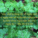 Tựa:  Ma-thi-ơ 6:34
Diễn Giả:  DN
Xem:  872