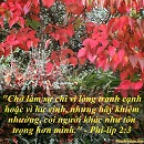 Tựa:  Phi-líp 2:3
Diễn Giả:  DN
Xem:  778