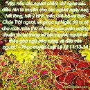 Tựa:  Phục-truyền Luật-lệ Ký 11:13-14
Diễn Giả:  DN
Xem:  584