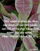 Tựa:  Phục-truyền Luật-lệ Ký 16:17
Diễn Giả:  DN
Xem:  263