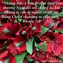 Tựa:  Rô-ma 5:8
Diễn Giả:  DN
Xem:  585