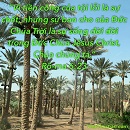 Tựa:  Rô-ma 6:23
Diễn Giả:  DN
Xem:  526