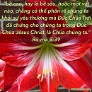 Tựa:  Rô-ma 8:39
Diễn Giả:  DN
Xem:  505
