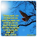 Tựa:  Rô-ma 14:10
Diễn Giả:  DN
Xem:  963