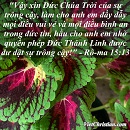 Tựa:  Rô-ma 15:13
Diễn Giả:  DN
Xem:  490