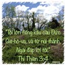 Tựa:  Thi-thiên 3:4
Diễn Giả:  DN
Xem:  676