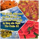 Ecard