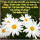 Tựa:  Thi-thiên 16:11
Diễn Giả:  DN
Xem:  1612