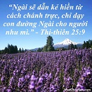 Tựa:  Thi-thiên 25:9
Diễn Giả:  DN
Xem:  635