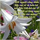 Tựa:  Thi-thiên 32:11
Diễn Giả:  DN
Xem:  724