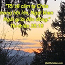 Tựa:  Thi-thiên 35:18
Diễn Giả:  DN
Xem:  642