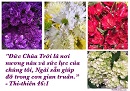 Tựa:  Thi-thiên 46:1
Diễn Giả:  DN
Xem:  912