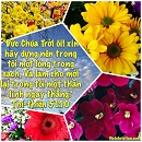 Tựa:  Thi-thiên 51:10
Diễn Giả:  DN
Xem:  1003