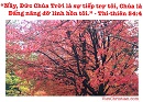Tựa:  Thi-thiên 54:4
Diễn Giả:  DN
Xem:  792