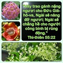 Tựa:  Thi-thiên 55:22
Diễn Giả:  DN
Xem:  661