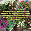 Tựa:  Thi-thiên 84:10
Diễn Giả:  DN
Xem:  749