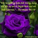 Tựa:  Thi-thiên 94:19
Diễn Giả:  DN
Xem:  647