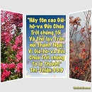Tựa:  Thi-thiên 99:9
Diễn Giả:  DN
Xem:  624